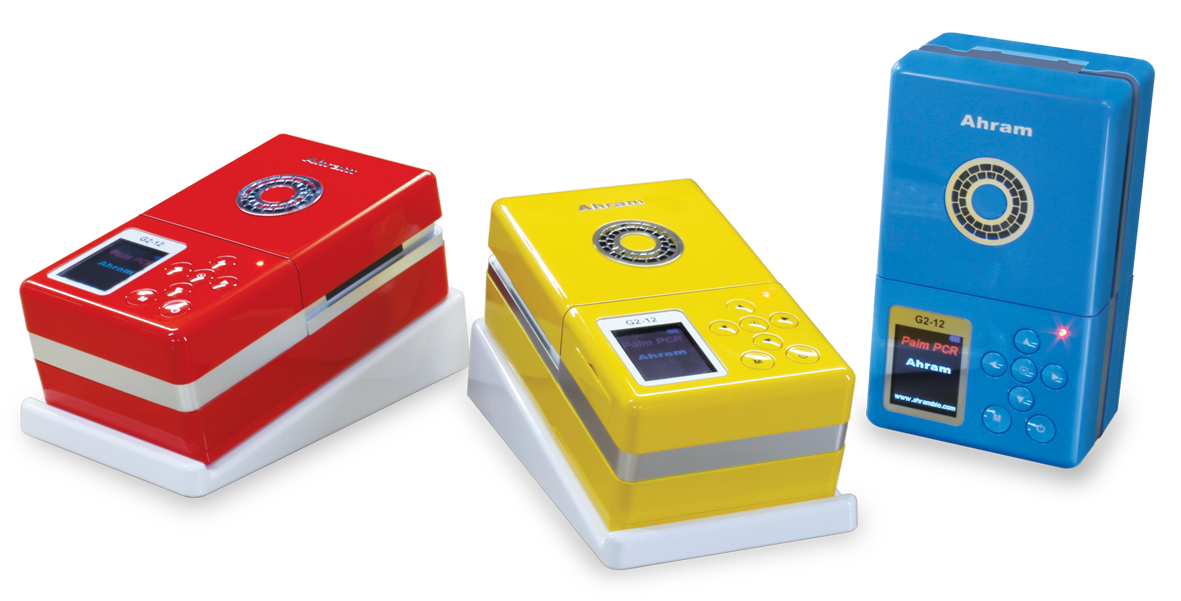 Triple Palm PCR_G2-12.png