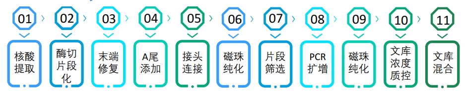 建库流程.jpg